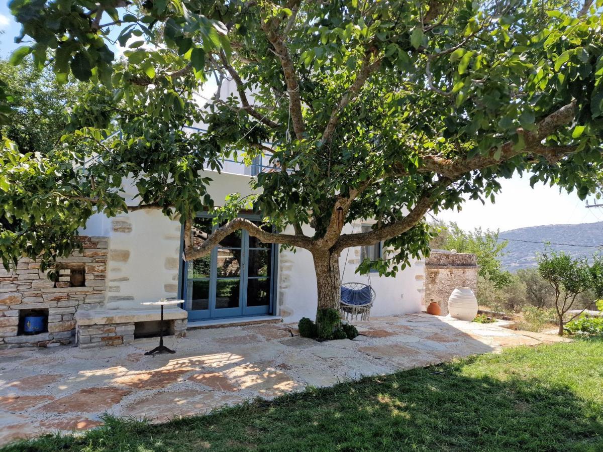 Pyrgos - Traditional House At Kaloxilos, Naxos Khalkíon Esterno foto